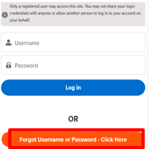 My NYCERS Login